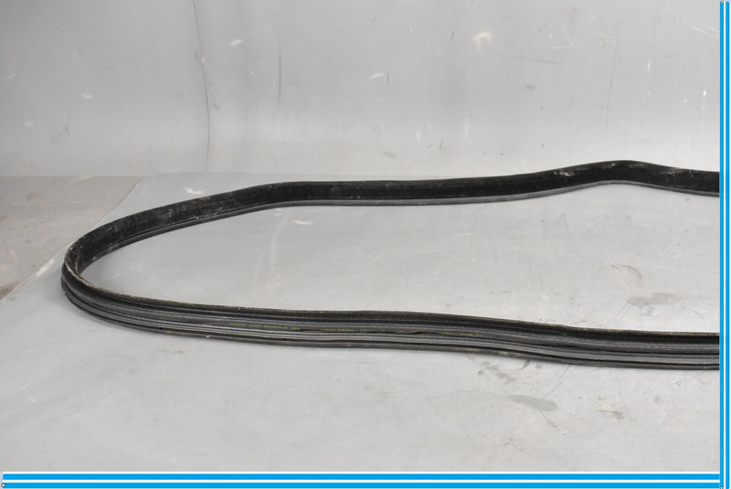 Load image into Gallery viewer, 18-23 Jaguar E-Pace Rear Left Side Driver Door Body Weatherstrip Seal Oem