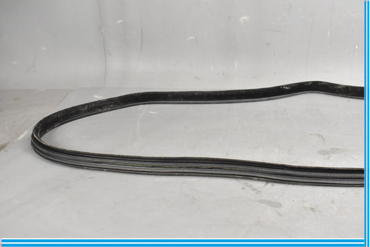 18-23 Jaguar E-Pace Rear Left Side Driver Door Body Weatherstrip Seal Oem