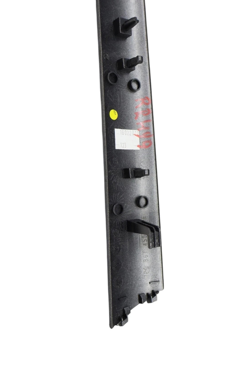 Load image into Gallery viewer, 11-17 Volkswagen Touareg Rear Right Passenger Side Door Panel Insert Trim OEM