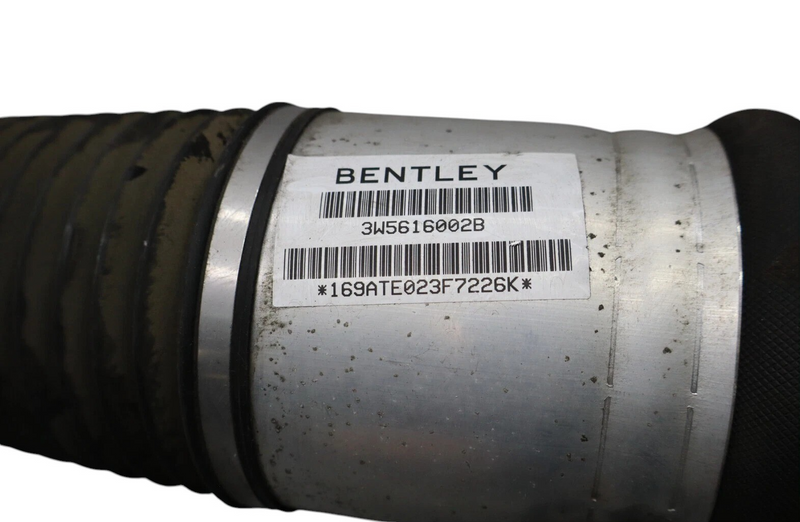 Load image into Gallery viewer, 06-12 Bentley Continental Flying Spur Rear Right Air Ride Air Shock Strut Oem