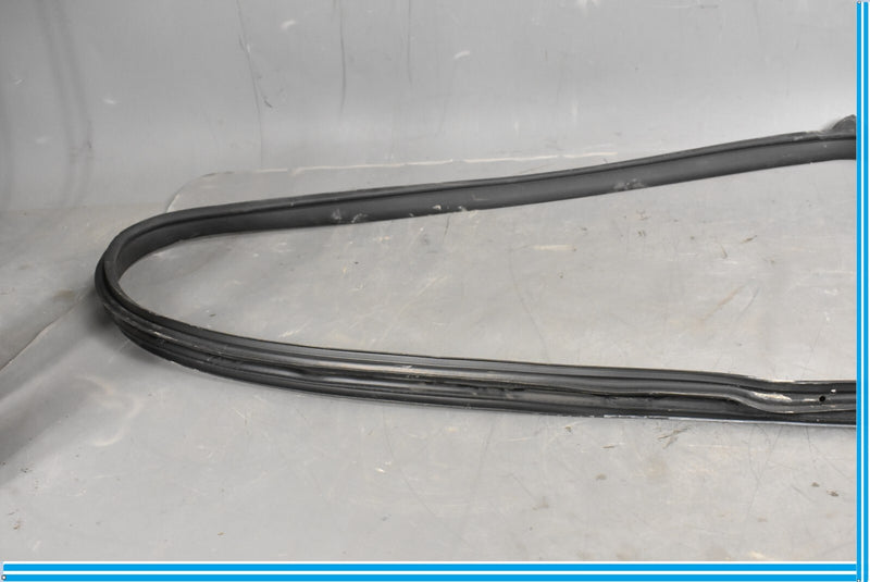 Load image into Gallery viewer, 12-18 Mercedes CLS550 W219 Rear Right Passenger Door Whether Strip Seal Oem