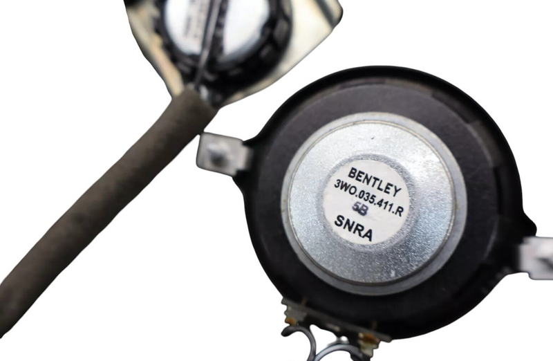 Load image into Gallery viewer, 06-13 Bentley Continental Rear Left Driver Side Interior Door Cover Panel Oem