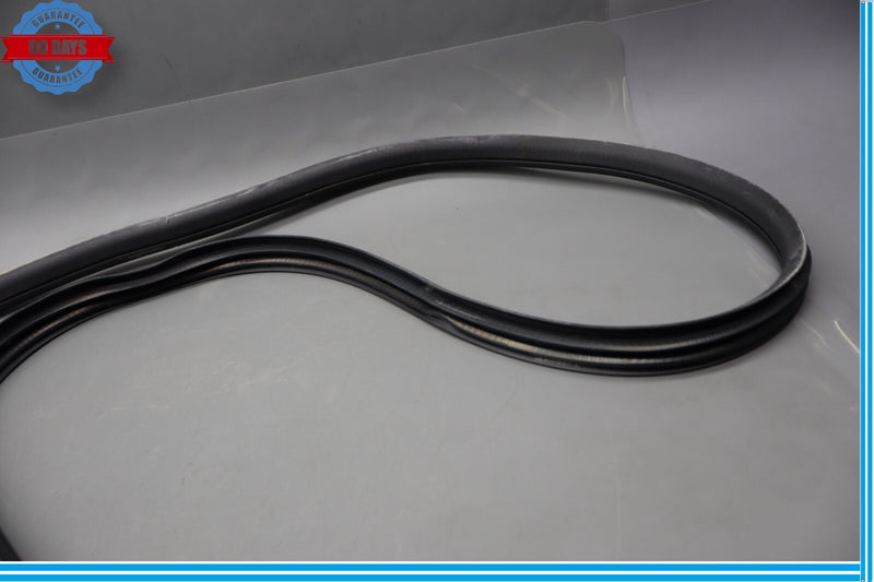 Load image into Gallery viewer, 13-16 Mercedes X166 GL550 Rear Left Side Door Body Weatherstrip Seal Oem