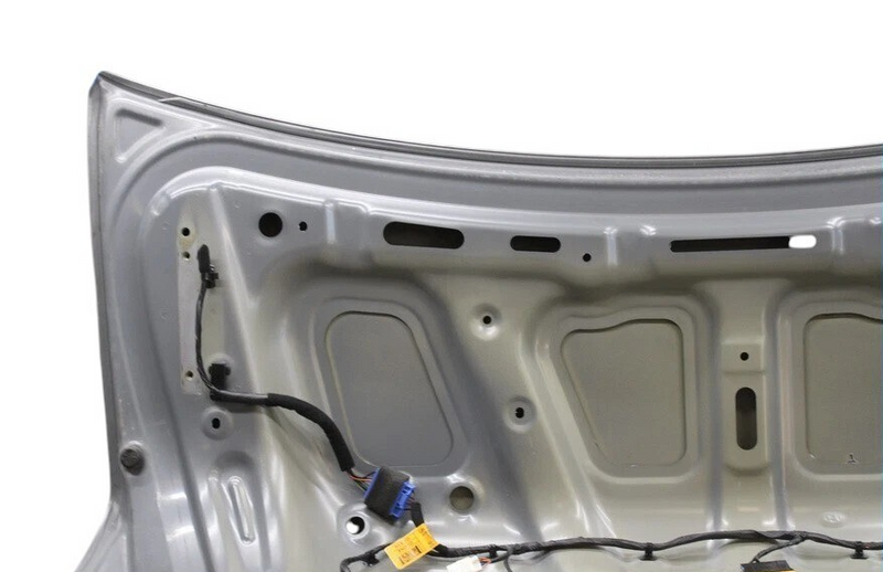 Load image into Gallery viewer, 11-16 Hyundai Equus SIG Rear Trunk Lid Tailgate Cover Panel Assembly Silver Oem