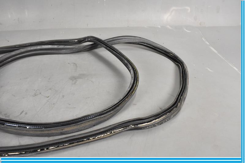 Load image into Gallery viewer, 18-20 Jaguar E-Pace Rear Right Passenger Door Body Weatherstrip Seal Oem