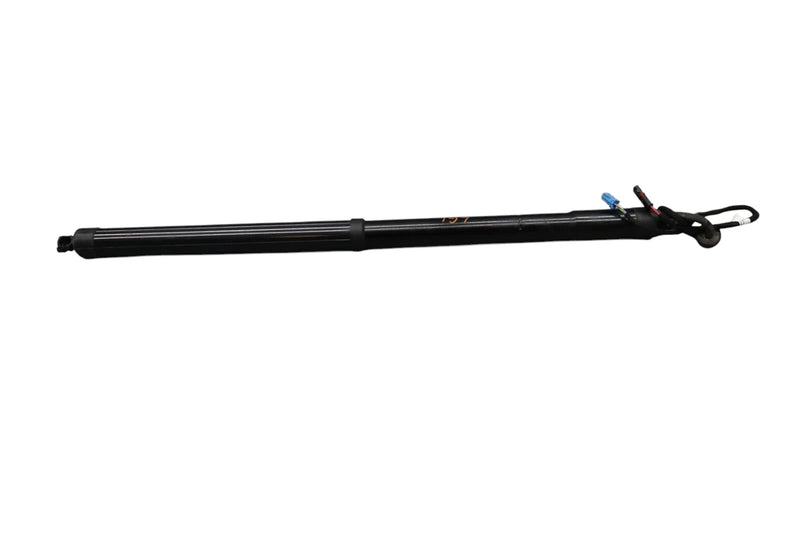 Load image into Gallery viewer, 10-16 Porsche Panamera 970 Rear Left Side Trunk Lid Shock Lift Support Strut Oem