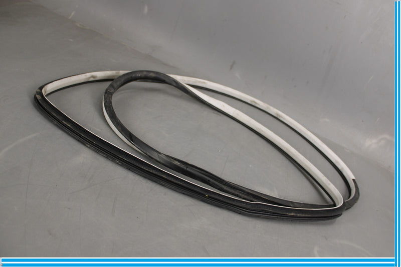 Load image into Gallery viewer, 11-20 Infiniti QX56 QX80 Rear Left Side Door Window Weather Strip Seal Oem