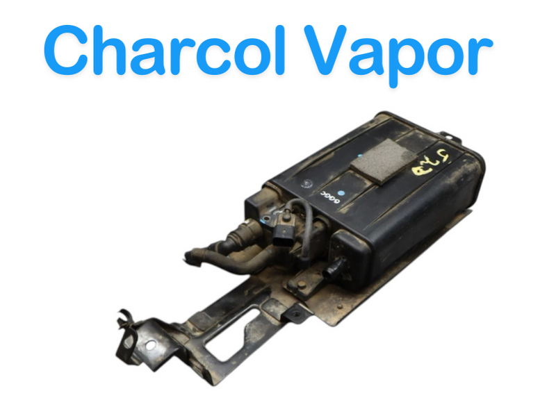 Load image into Gallery viewer, 11-16 Hyundai Equus Sig Fuel Gas Charcol Vapor Evaporator Canister System OEM