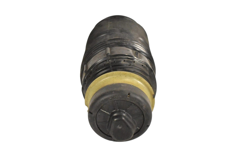 Load image into Gallery viewer, 10-16 Mercedes E550 E350 W212 Rear Right Air Suspension Bag Shock Arnot Oem