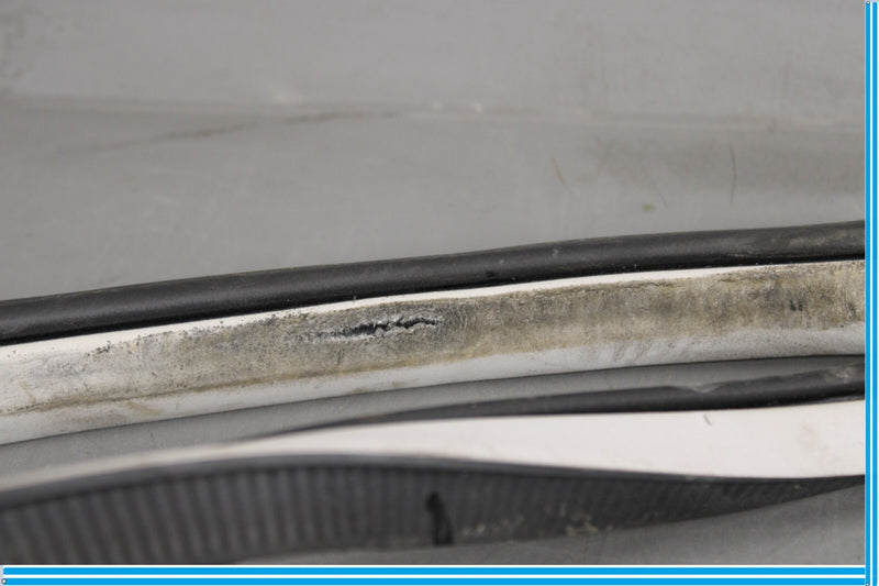 Load image into Gallery viewer, 11-20 Infiniti QX56 QX80 Rear Left Side Door Window Weather Strip Seal Oem