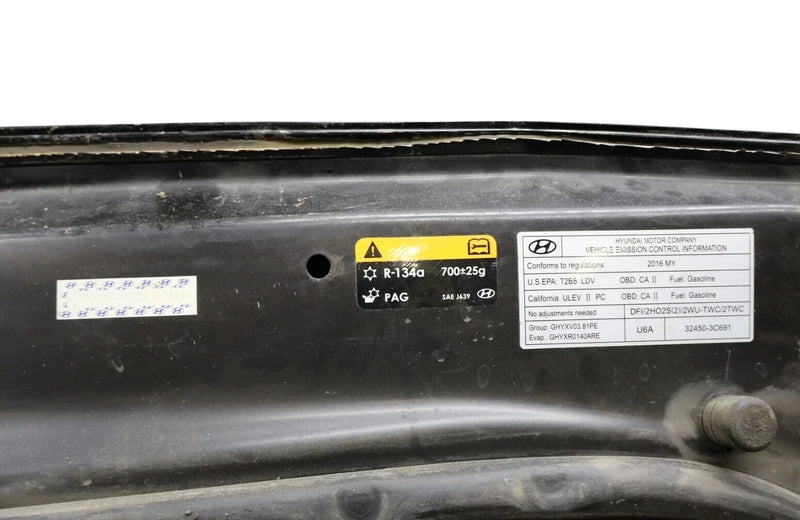 Load image into Gallery viewer, 15-20 Hyundai Genesis G80 Front Hood Bonnet Cover Panel Assembly 66400-B1000 Oem