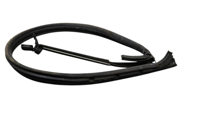 Load image into Gallery viewer, 03-10 Bentley Continental Left Driver Side Lower Door Seal Rubber Oem