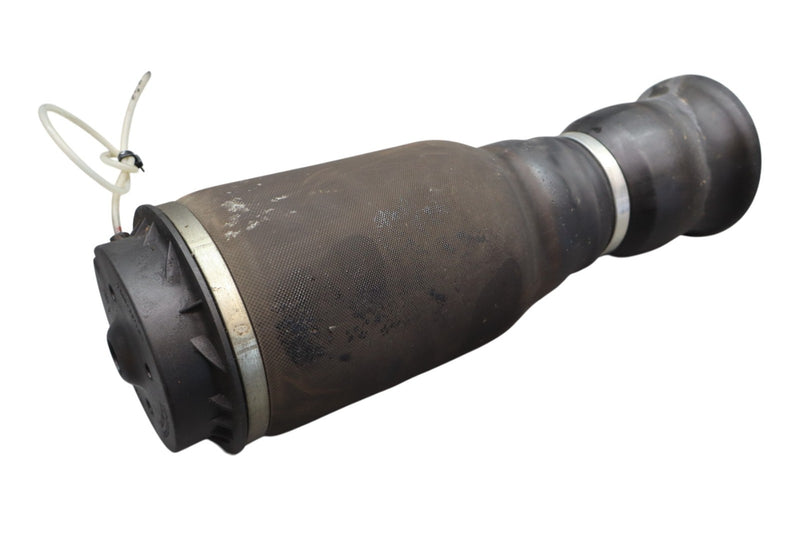 Load image into Gallery viewer, 06-12 Mercedes X164 GL450 GL550 Rear Left or Right Air Bag Shock Arnott Oem