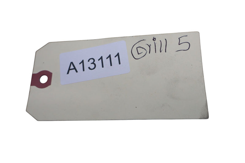 Load image into Gallery viewer, 03-06 Mercedes W220 S430 S500 S55 Front Radiator Hood Center Grill Grille Oem