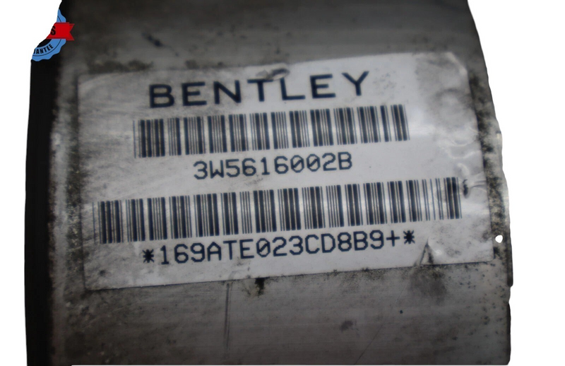 Load image into Gallery viewer, 06-12 Bentley Continental Rear Right Air Suspension Shock Absorber Strut Oem