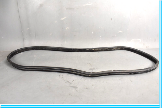 18-23 Jaguar E-Pace Rear Left Side Driver Door Body Weatherstrip Seal Oem