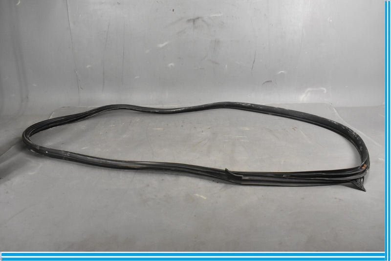Load image into Gallery viewer, 12-18 Mercedes CLS550 W219 Front Right Passenger Door Whether Strip Seal Oem