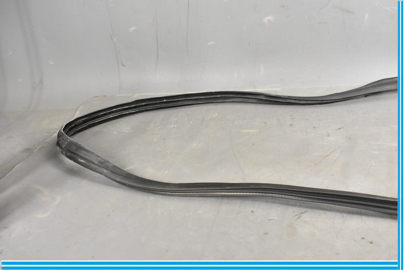 Load image into Gallery viewer, 12-18 Mercedes CLS550 W219 Front Right Passenger Door Whether Strip Seal Oem