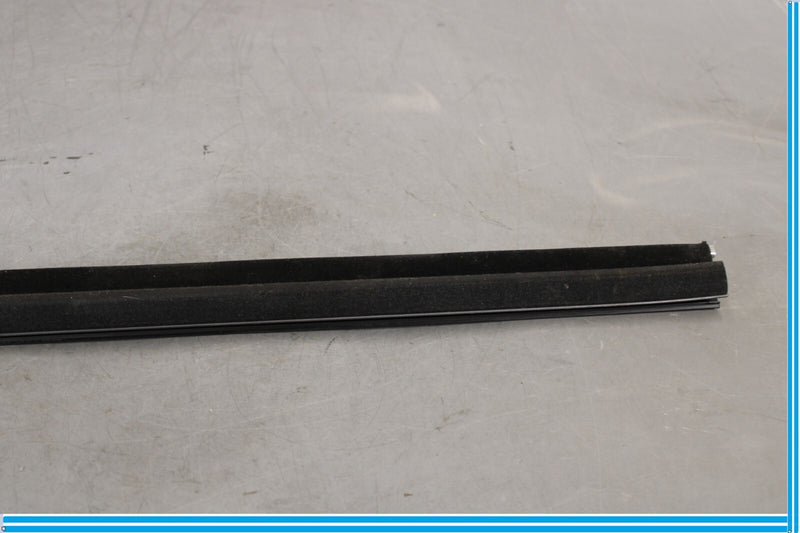 Load image into Gallery viewer, 09-15 BMW 750Li F01 F02 Rear Left Door Window Inner Belt Weatherstrip Seal Oem