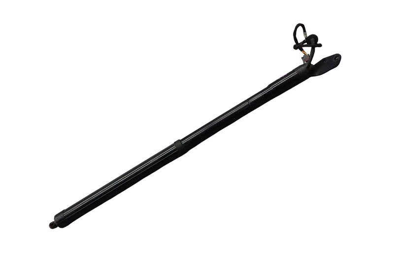 Load image into Gallery viewer, 11-14 Porsche Cayenne Left Driver Side Trunk Lid Shock Lift Support Strut Oem