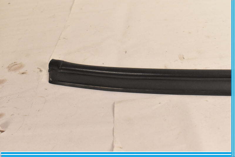 Load image into Gallery viewer, 09-15 BMW 750Li 750i F01 F02 Front Lower Door Weather strip Seal Black Oem