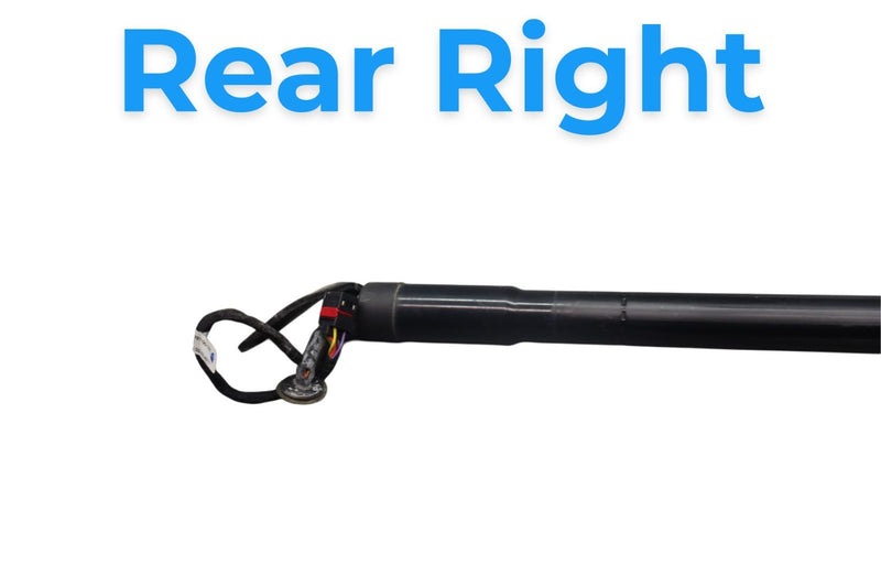 Load image into Gallery viewer, 11-14 Porsche Cayenne 958 Rear Right Side Trunk Lift Hatch Strut Shock Oem