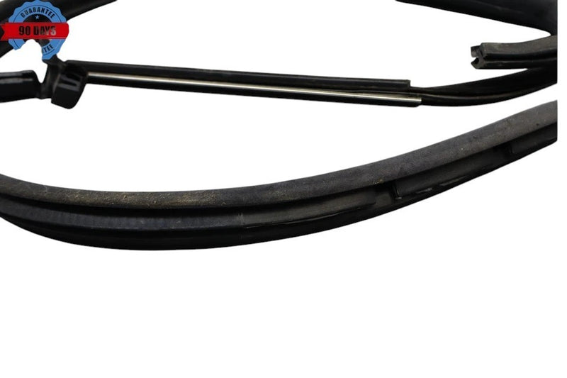 Load image into Gallery viewer, 03-10 Bentley Continental Left Driver Side Lower Door Seal Rubber Oem