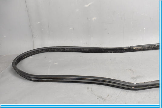 18-23 Jaguar E-Pace Rear Left Side Driver Door Body Weatherstrip Seal Oem