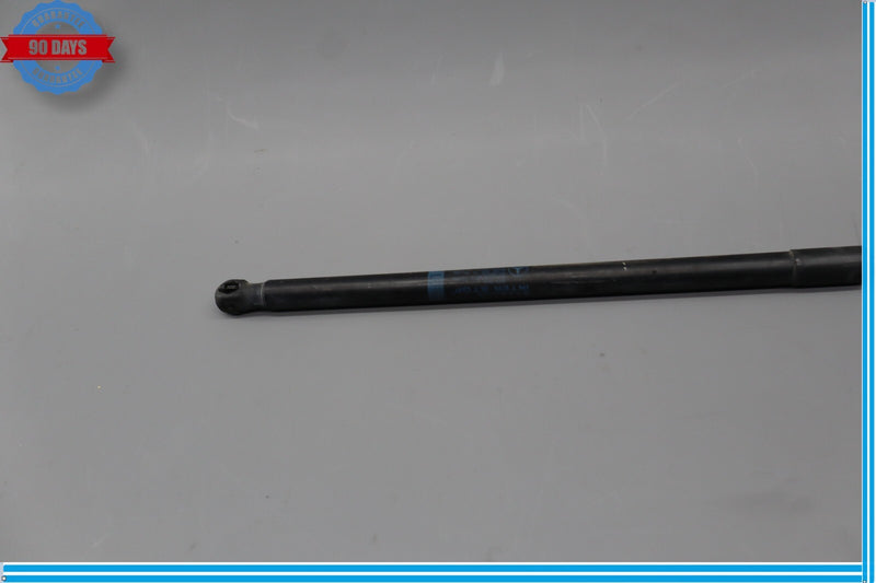 Load image into Gallery viewer, 08-14 Mercedes C300 C350 C63 AMG Front Hood Lift Support Shock Strut Oem