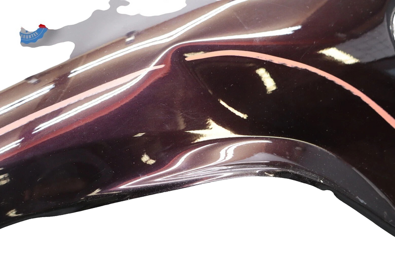 Load image into Gallery viewer, 10-13 Porsche Panamera Front Left Driver Side Fender Cover Panel Assembly Oem
