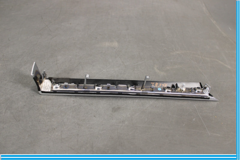 Load image into Gallery viewer, 11-18 Porsche Cayenne Rear Left Driver Side Door Trim Panel Molding Oem