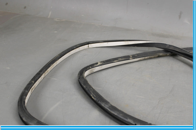 Load image into Gallery viewer, 11-20 Infiniti QX56 QX80 Rear Right Side Door Window Weather Strip Seal Oem