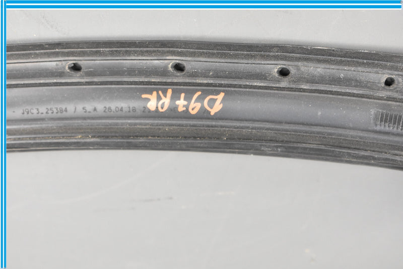 Load image into Gallery viewer, 18-20 Jaguar E-Pace Rear Right Side Door Window Inner Weatherstrip Seal Oem