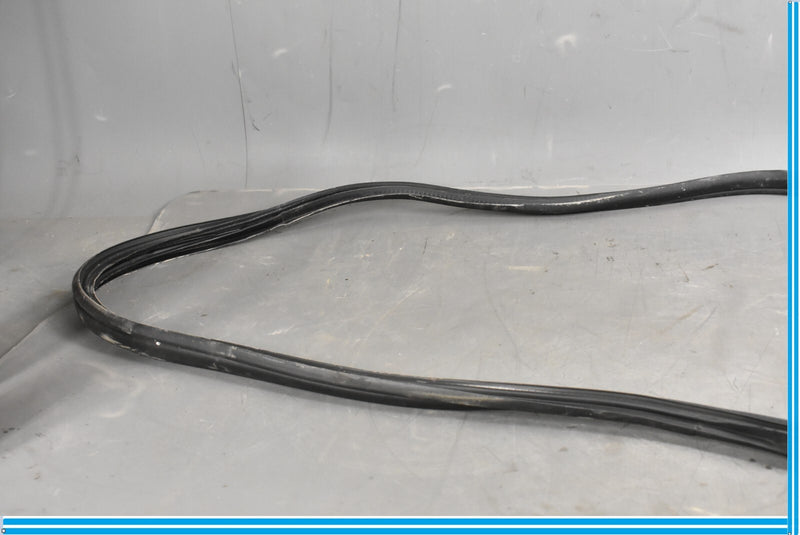 Load image into Gallery viewer, 12-18 Mercedes CLS550 W219 Front Right Passenger Door Whether Strip Seal Oem