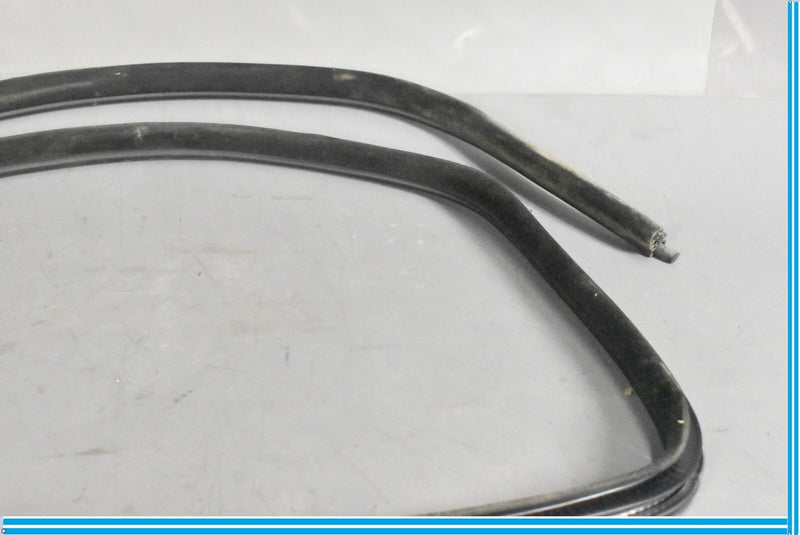 Load image into Gallery viewer, 09-13 Maserati Quattroporte M139 Rear Left Door Weatherstrip Rubber Seal Oem
