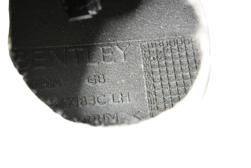 Load image into Gallery viewer, 03-10 Bentley Continental Rear Left Side Interior Door Panel W/Speaker Oem