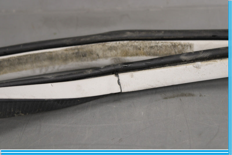 Load image into Gallery viewer, 11-20 Infiniti QX56 QX80 Rear Left Side Door Window Weather Strip Seal Oem