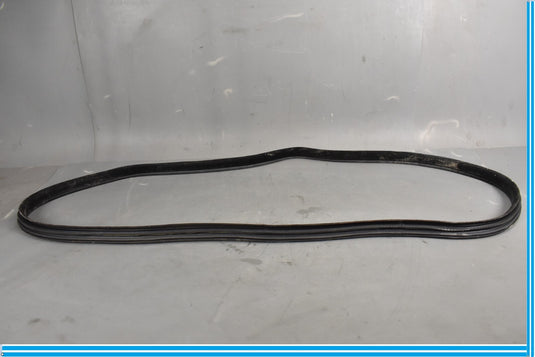 18-23 Jaguar E-Pace Rear Left Side Driver Door Body Weatherstrip Seal Oem