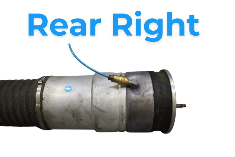 Load image into Gallery viewer, 09-12 BMW 750Li F02 F04 Rear Right Side Air Suspension Strut Shock Absorber Oem