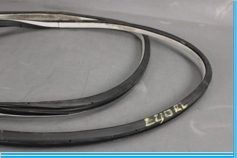 Load image into Gallery viewer, 11-20 Infiniti QX56 QX80 Rear Left Side Door Window Weather Strip Seal Oem