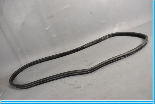 18-23 Jaguar E-Pace Rear Left Side Driver Door Body Weatherstrip Seal Oem
