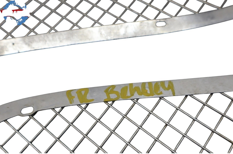 Load image into Gallery viewer, 99-04 Bentley Arnage Front Left / Right Center Bumper Grille Set OEM