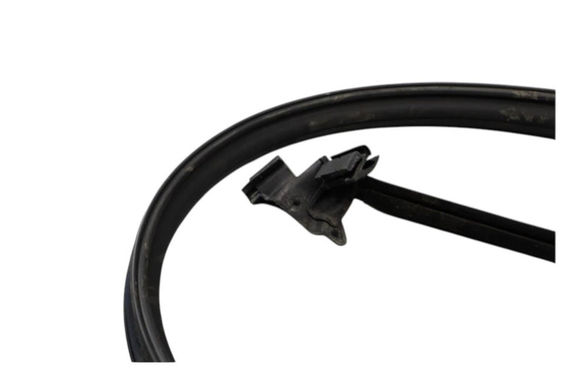 Load image into Gallery viewer, 03-10 Bentley Continental Left Driver Side Lower Door Seal Rubber Oem