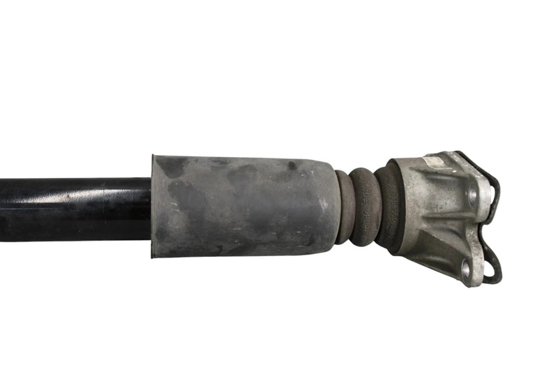 Load image into Gallery viewer, 12-16 BMW 320i 328i Rear Left Driver Side Shock Strut Absorber 33526791568 OEM