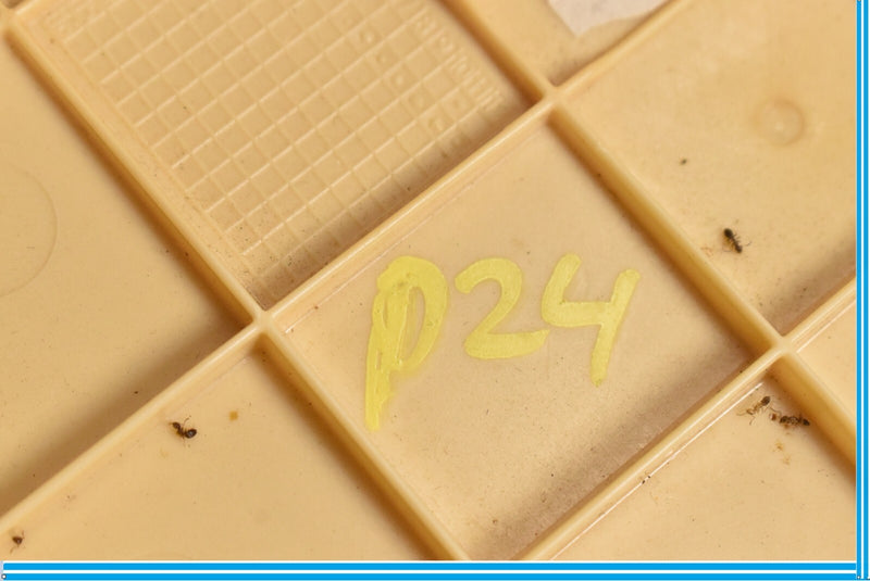 Load image into Gallery viewer, 09-15 BMW 750i 750Li F01 F02 Rear Third Brake Light Lamp Panel Cover Gray Oem