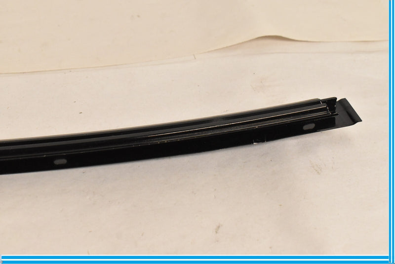 Load image into Gallery viewer, 09-15 BMW 750i 750Li F02 F01 Rear Left Door Window Glass Guide Channel Oem
