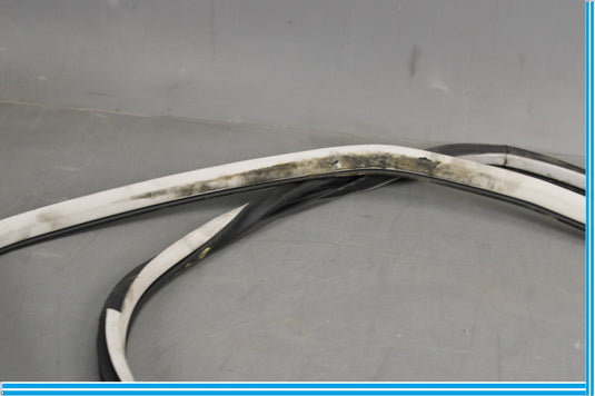 11-20 Infiniti QX56 QX80 Rear Right Side Door Window Weather Strip Seal Oem