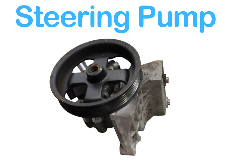 Load image into Gallery viewer, 06-09 Land Rover Range Rover Sport L322 P/S Power Steering Pump QVB500390 OEM
