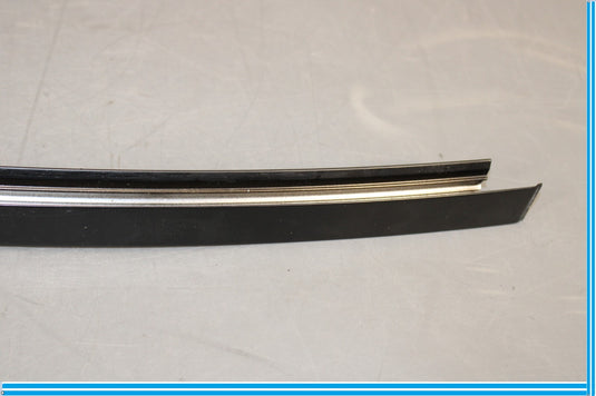 09-15 BMW 750Li F01 F02 Rear Left Driver Side Door Window Guide Web Cover Oem