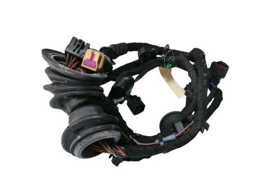 03-10 Bentley Continental GT Front Right Passenger Door Wiring Wire Harness Oem